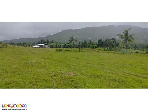 philippines land for sale|Property for Sale in the Philippines .